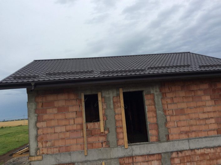Proiect 13 007