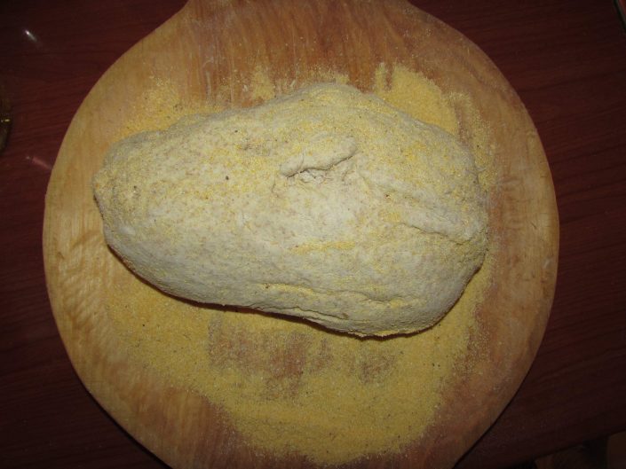 Painici cu Malai 000