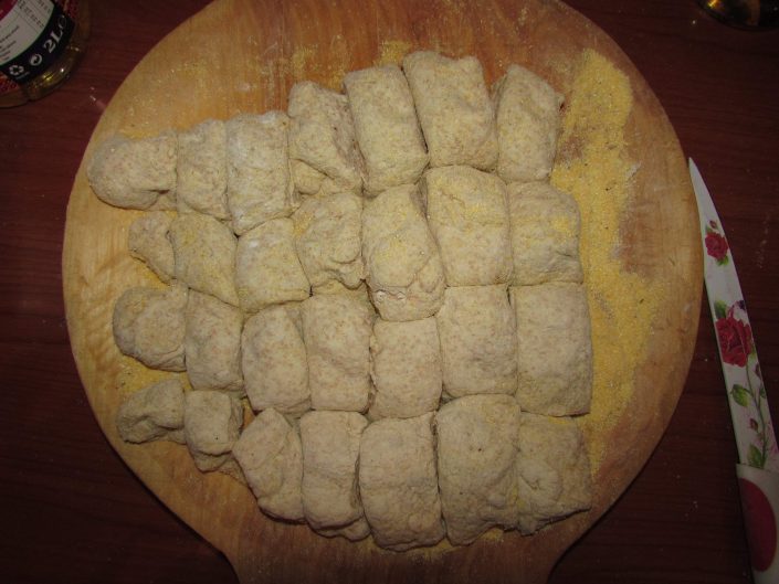 Painici cu Malai 004